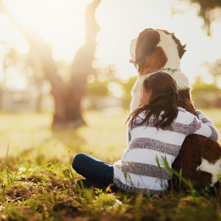 Shutterstock 2462361235