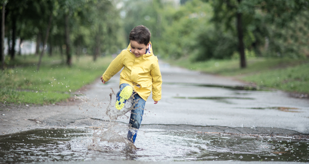 Shutterstock 1091016575