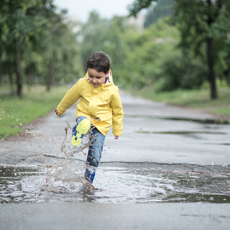 Shutterstock 1091016575