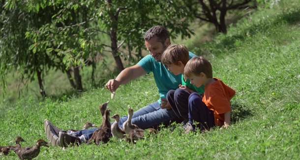 Shutterstock 2442325967