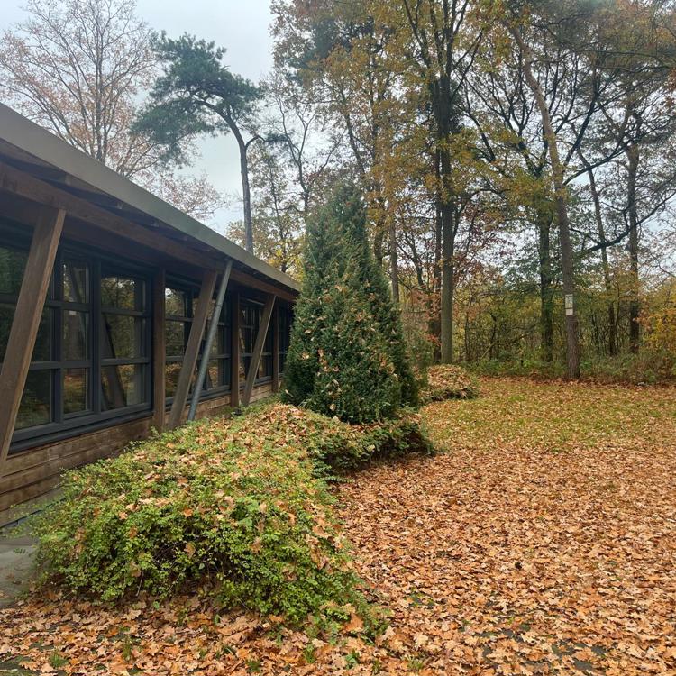 IMG 20251112 WA0006 (1)