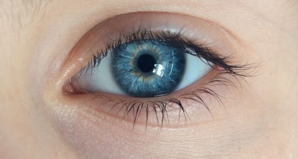Oog 4 3