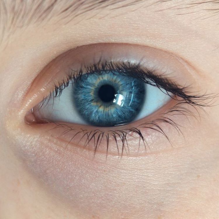 Oog 4 3